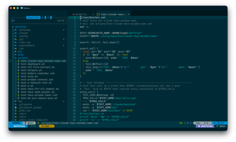 Neovim with LazyVim, Solarized Dark, JetBrainsMono Nerd Font
